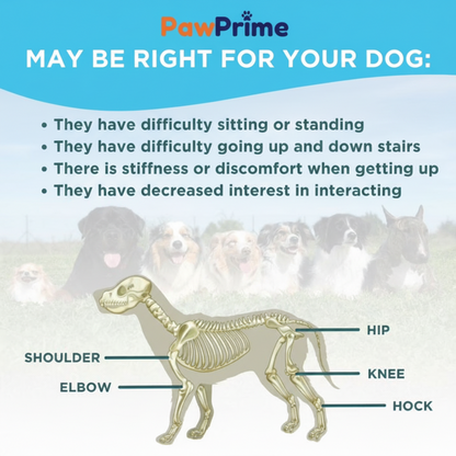 PawPrime Hip & Joint Chews